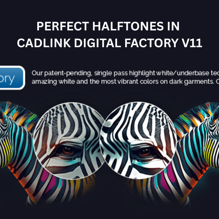 How to Make Perfect Halftones in Cadlink Digital Factory V11