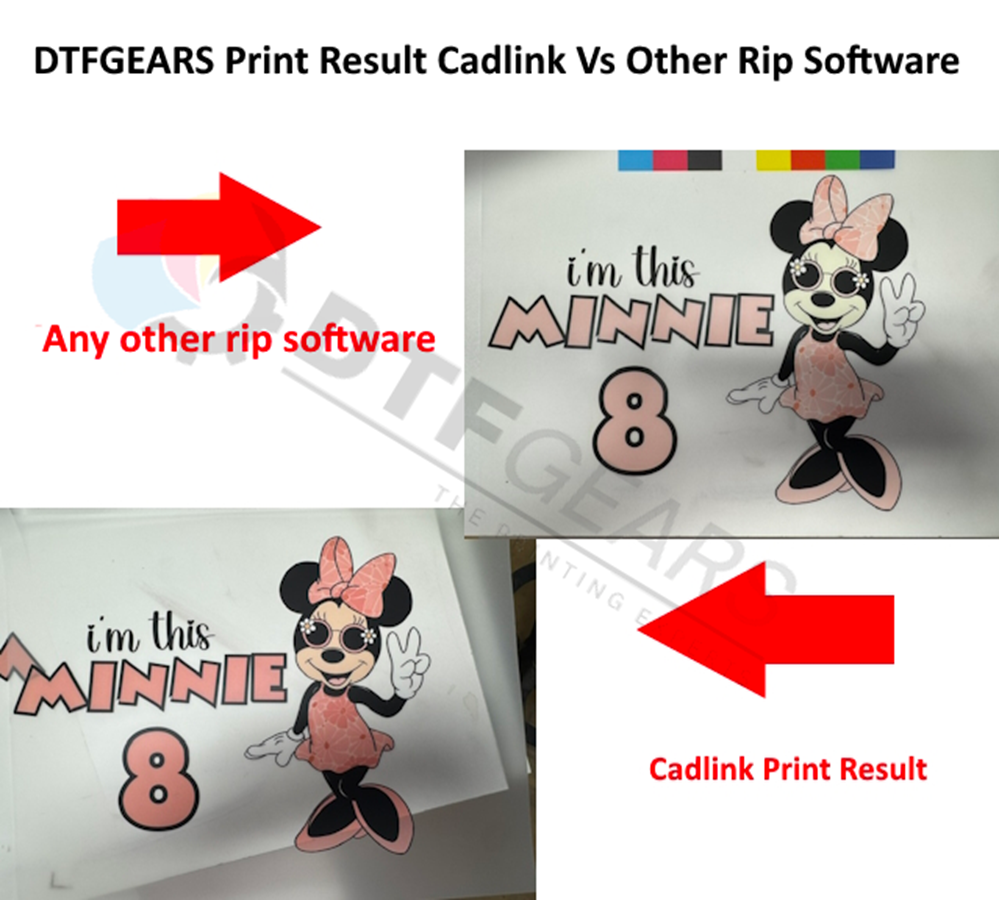  CADlink DTF RIP Software vs. Standard RIP Softwares